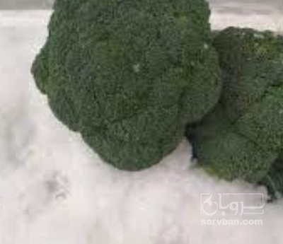 فروش کلم بروکلی