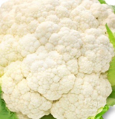 فروش گل کلم ماشینی