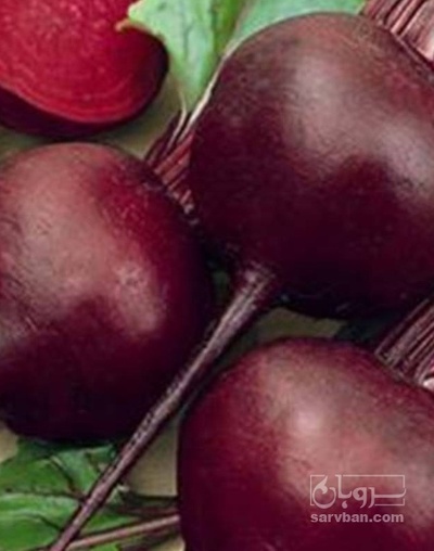 فروش چغندر لبو