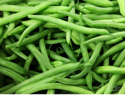 فروش لوبیا سبز