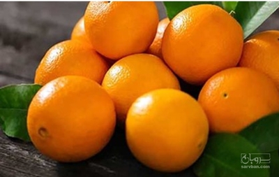 فروش پرتقال
