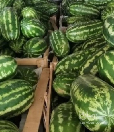 فروش هندوانهb32 پرو پالت شده