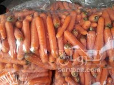 فروش هویج