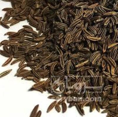 فروش زیره (گیاه‌ دارویی)