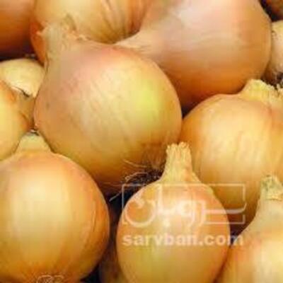 فروش پیاز زرد