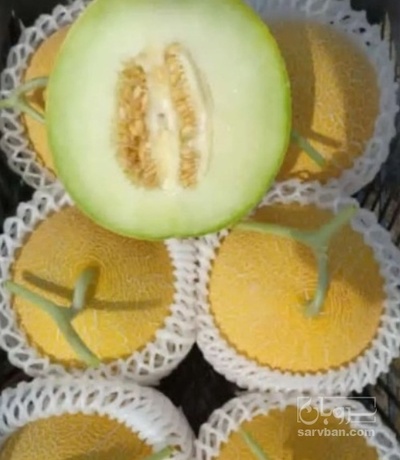 فروش ملون تک رج