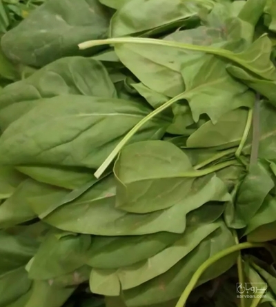 فروش اسفناج (ترکیب انواع سبزی خورشتی)