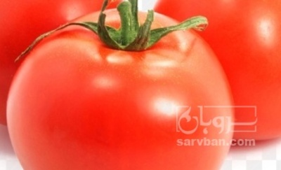 فروش گوجه فرنگی