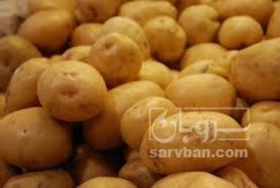 فروش سیب زمینی سیفرا