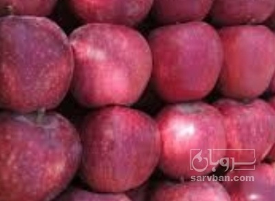 فروش سیب قرمز