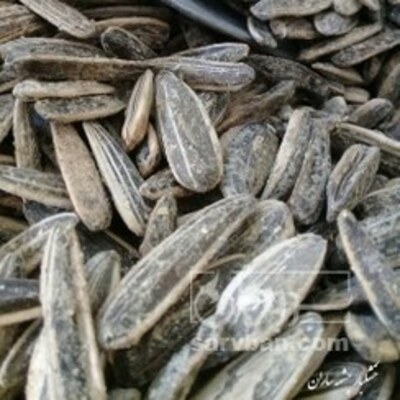 فروش تخمه آفتابگردان ‌‌شور