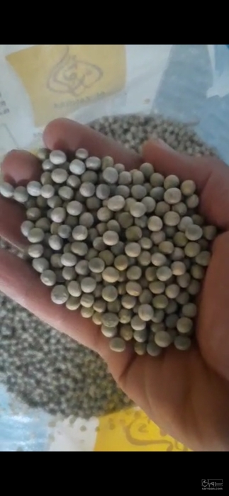 فروش نخود فرنگی خشک