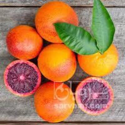فروش پرتقال خونی