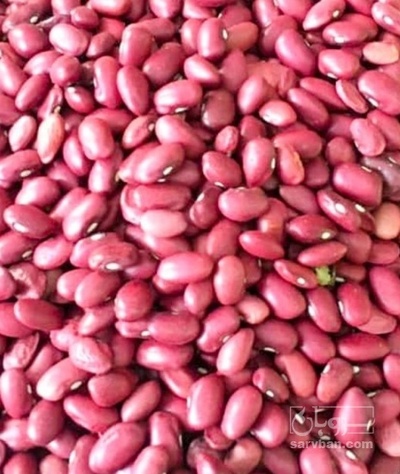 فروش لوبیا قرمز