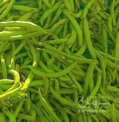 فروش باقلا تازه - باقالی - باقالا