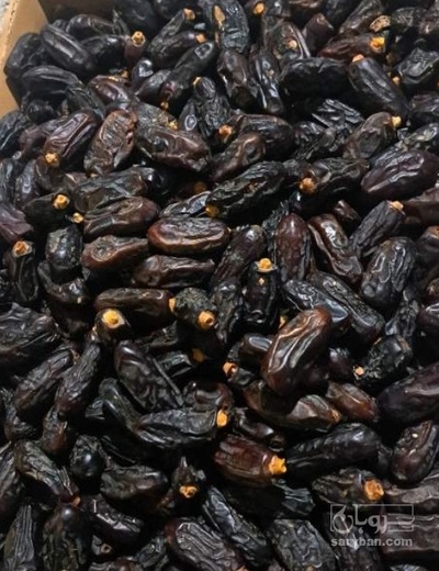فروش خرما ربی