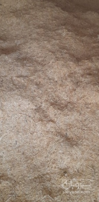 فروش کاه و کلش گندم