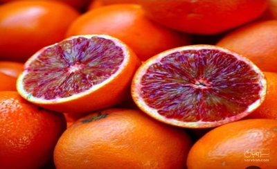 فروش پرتقال خونی