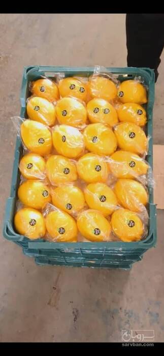 فروش لیمو ترش