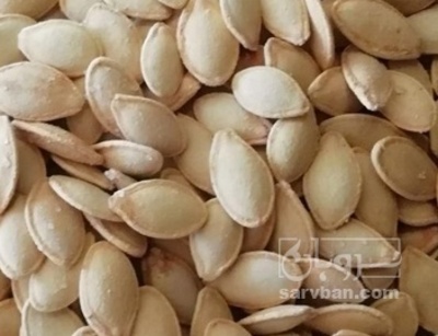 فروش تخمه  کدو بو داده