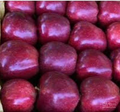 فروش سیب قرمز