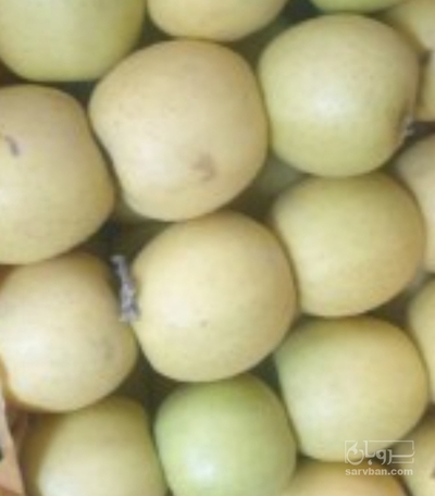 فروش سیب زرد