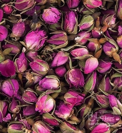 فروش گل محمدی (گیاه‌ دارویی)