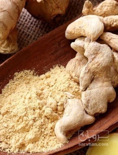 فروش زنجبیل (گیاه‌ دارویی)