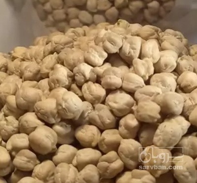 فروش نخود فلافلی