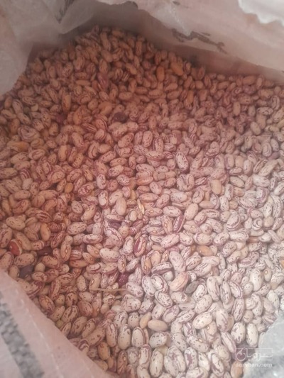 فروش لوبیا چیتی