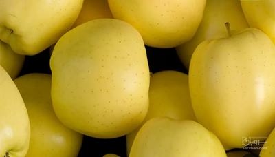 فروش سیب زرد