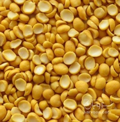 فروش نخود کفتری - لپه