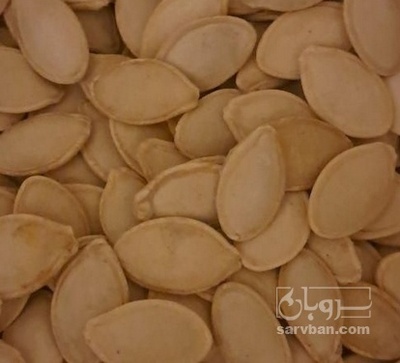 فروش تخمه  کدو بو داده