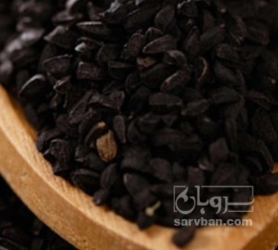 فروش  بذر پیاز قرمز