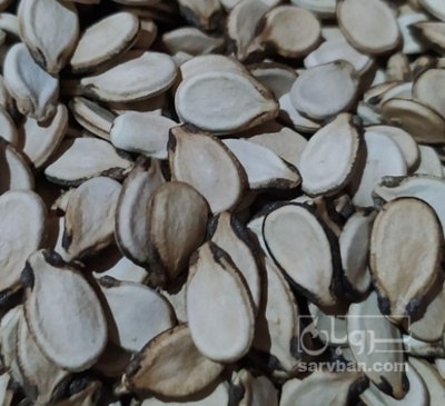 فروش تخمه هندوانه بو داده