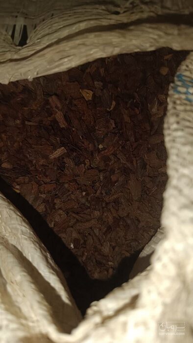 فروش جفت بلوط و مغز خشک  بلوط (گیاه‌ داروی