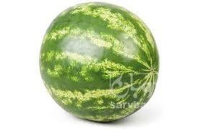 فروش هندوانه