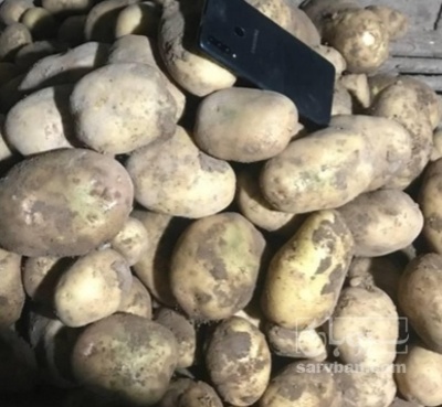 فروش سیب زمینی جلی