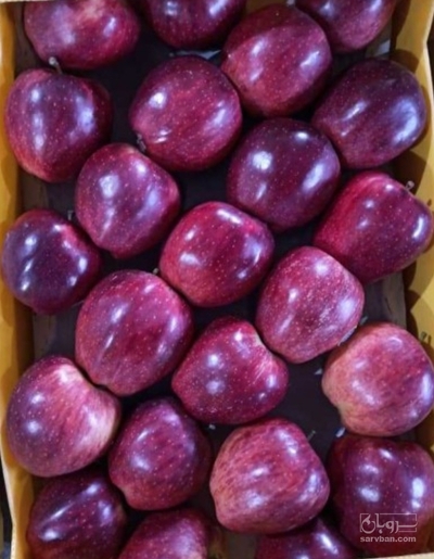 فروش سیب قرمز