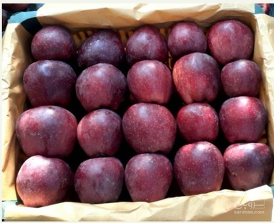 فروش سیب قرمز