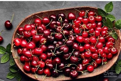 فروش آلبالو