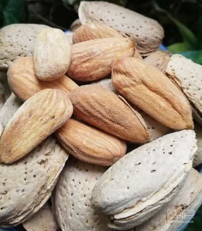 فروش بادام سنگی