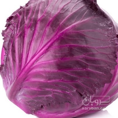 فروش کلم برگی بنفش