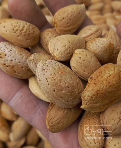 فروش بادام