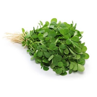 فروش شنبلیله تازه