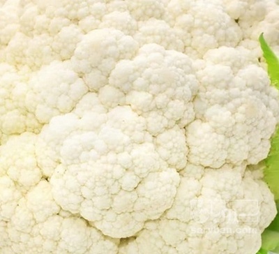 فروش گل کلم