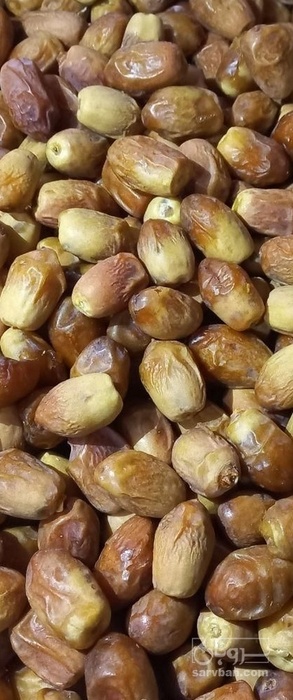 فروش خرما زاهدی