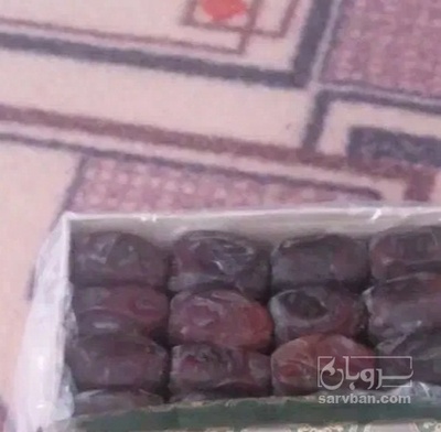 فروش خرما مضافتی