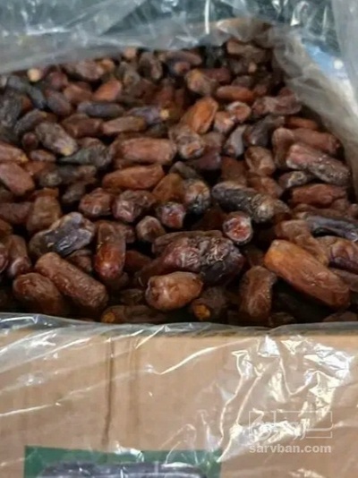 فروش خرما کلوته