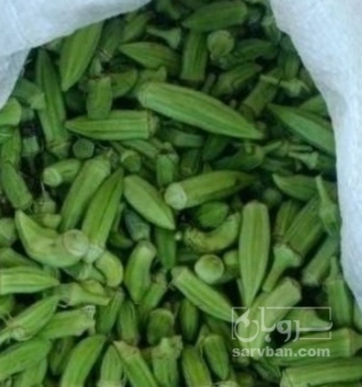 فروش بامیه صادراتی